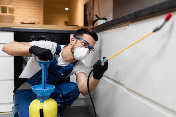 Best Pest Control Near Me  in Carmi, IL