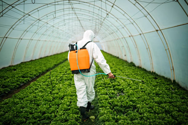 Best Pest Control for Restaurants  in Carmi, IL
