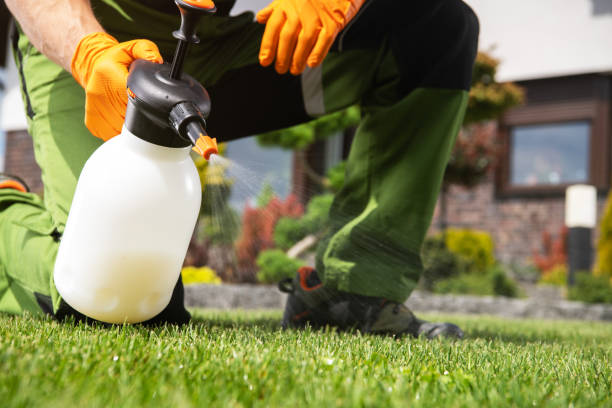 Best Emergency Pest Control  in Carmi, IL