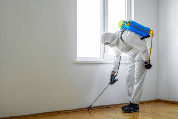 Best Best Pest Control Companies  in Carmi, IL