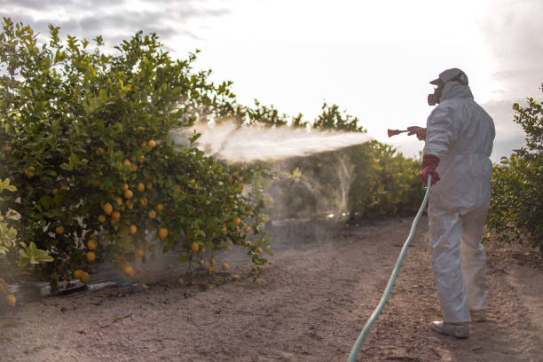 Best Pest Inspection Near Me  in Carmi, IL