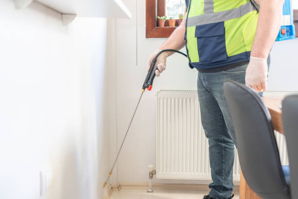 Best Rat Extermination Near Me  in Carmi, IL