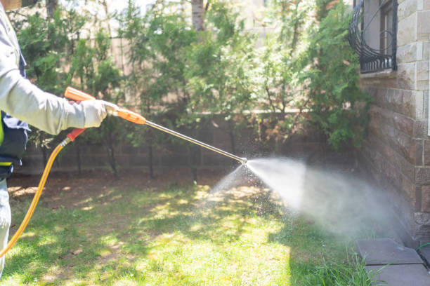 Best Bird Control  in Carmi, IL