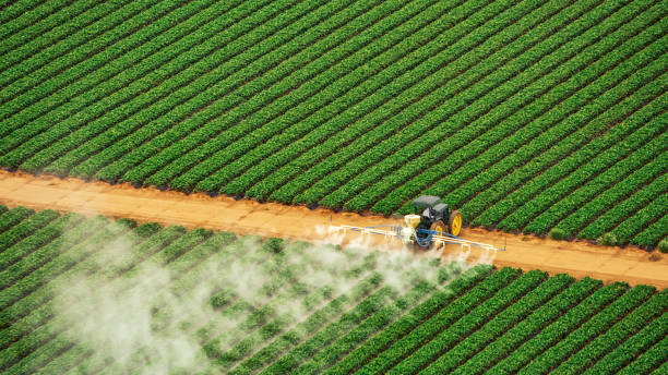 Best Mosquito Control Services  in Carmi, IL