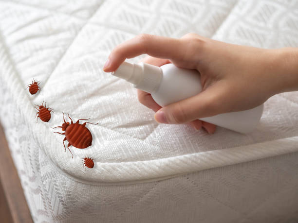 Best Cockroach Control Services  in Carmi, IL