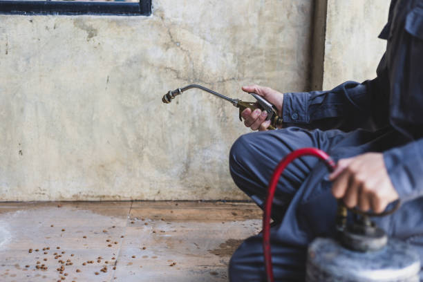 Best Pest Removal Services  in Carmi, IL