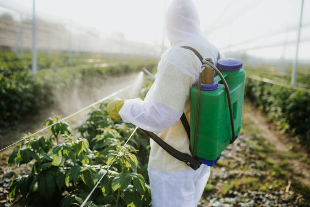 Carmi, IL Pest Control Company